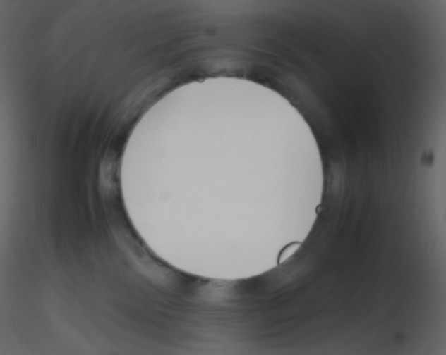 X0000115740138200912241655