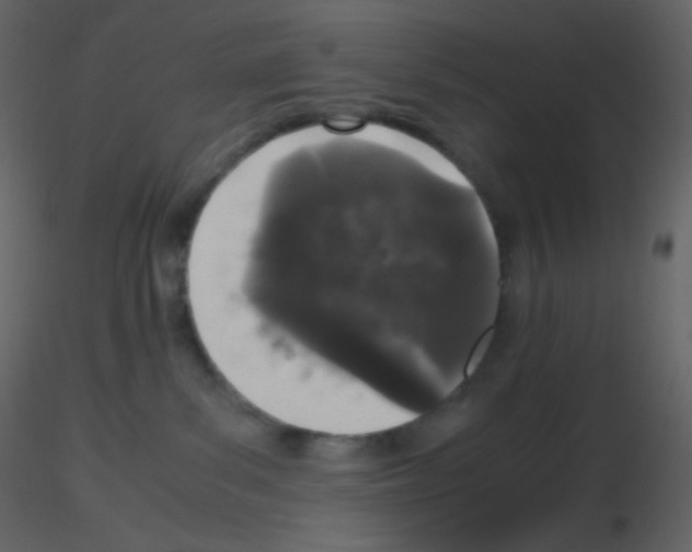 X0000115740139200912241655