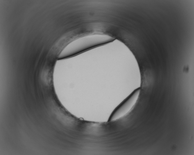 X0000115740140200912241655
