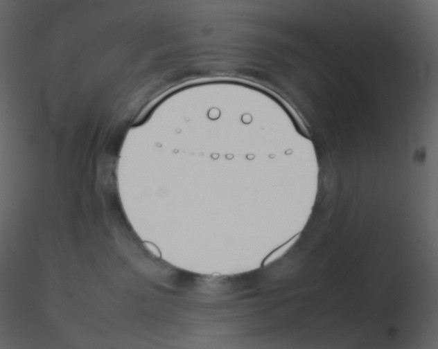 X0000115740141200912241655