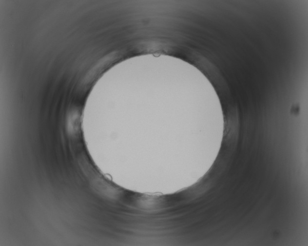 X0000115740142200912241655