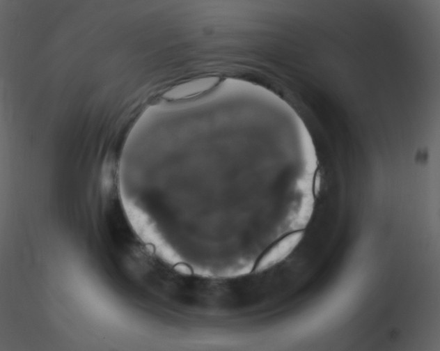 X0000115740143200912241655