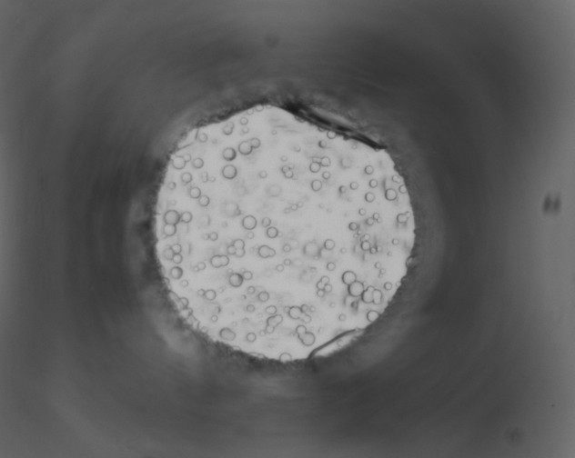 X0000115740144200912241655