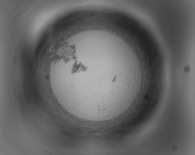 X0000115740146200912241654