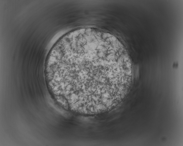 X0000115740147200912241654