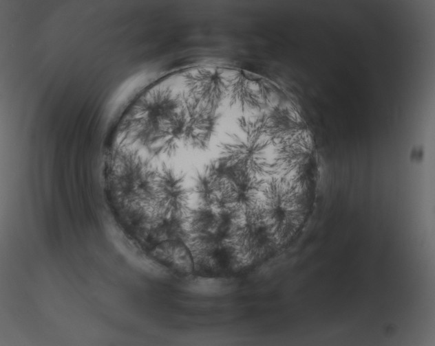 X0000115740149200912241654