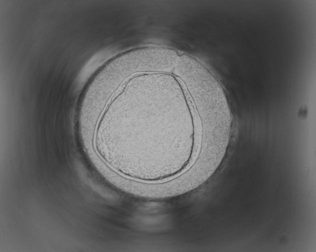 X0000115740151200912241654