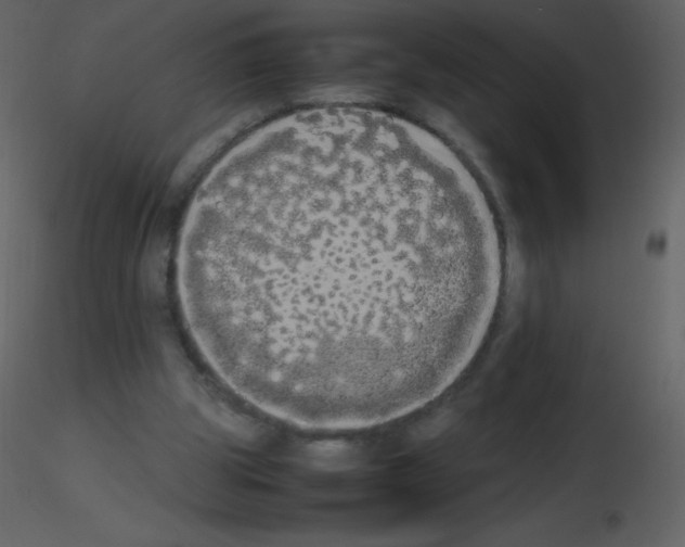 X0000115740153200912241654