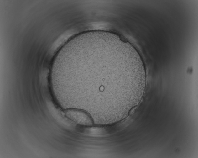 X0000115740154200912241654