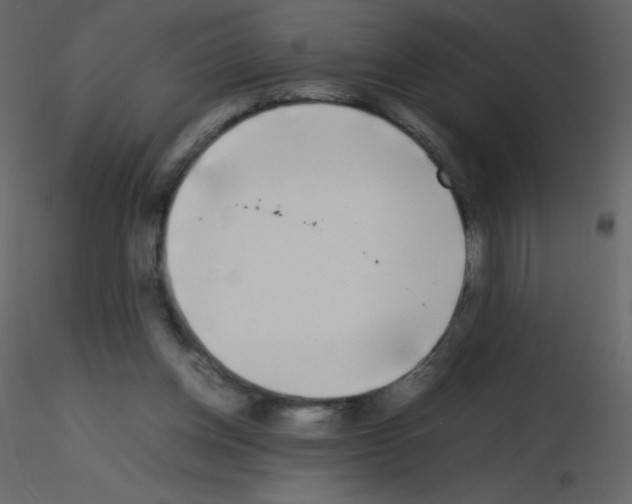 X0000115740158200912241654