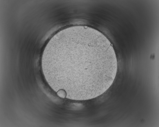 X0000115740159200912241654