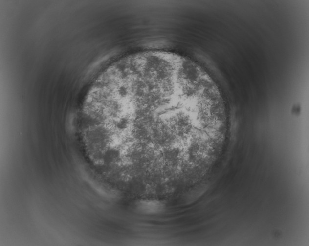 X0000115740161200912241654