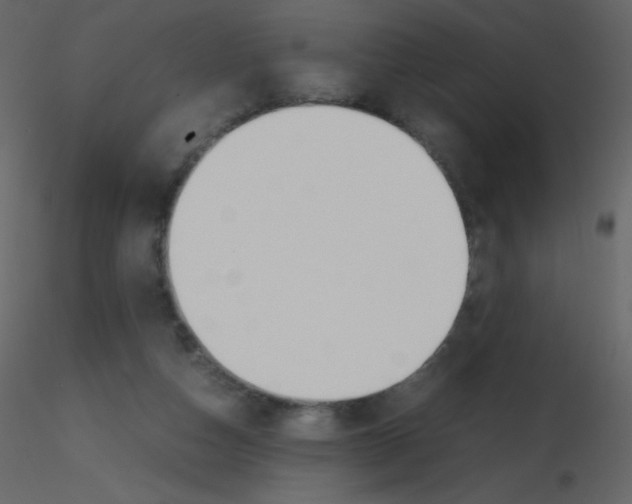 X0000115740162200912241654