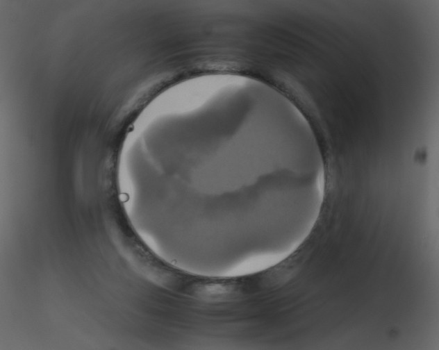 X0000115740163200912241654