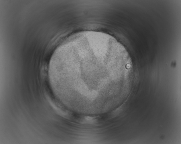 X0000115740166200912241654