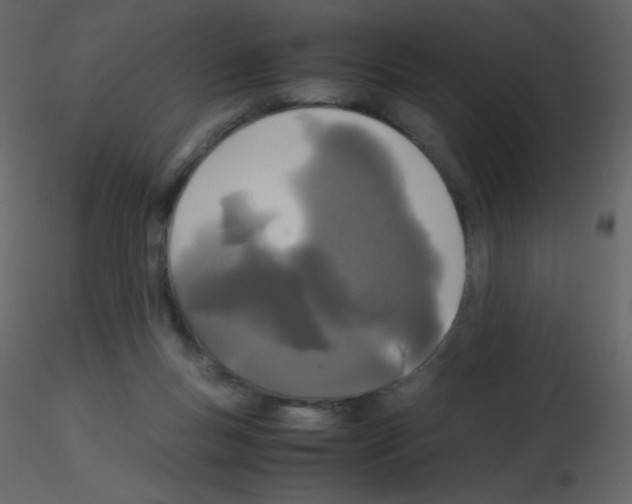 X0000115740167200912241654