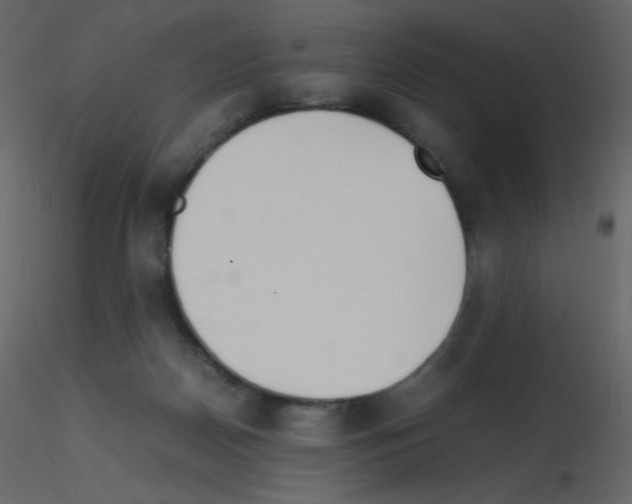 X0000115740170200912241654