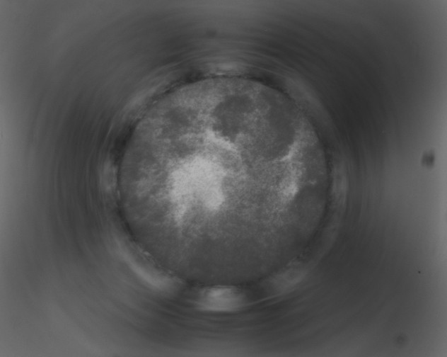 X0000115740173200912241654