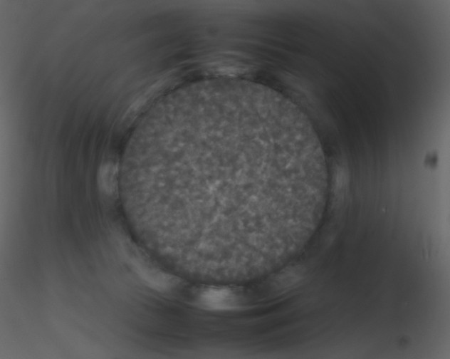 X0000115740177200912241655