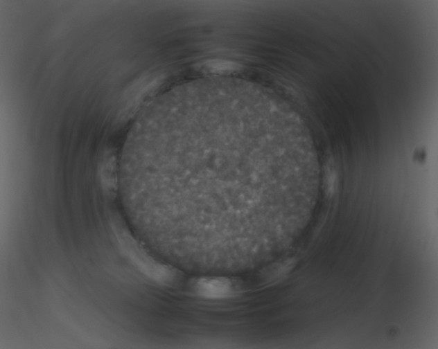 X0000115740181200912241655