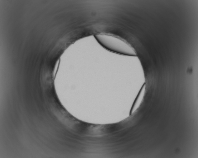 X0000115740186200912241655