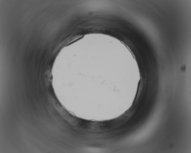 X0000115740190200912241655