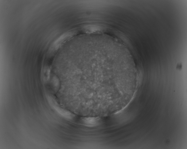X0000115740191200912241655