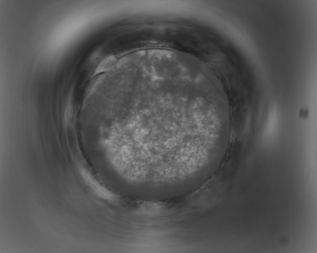 X0000115740195200912241654