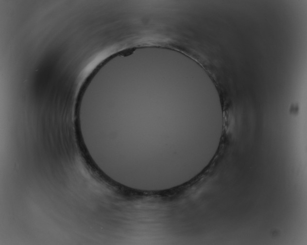 X0000115740196200912241654