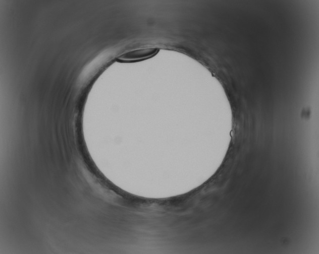 X0000115740197200912241654