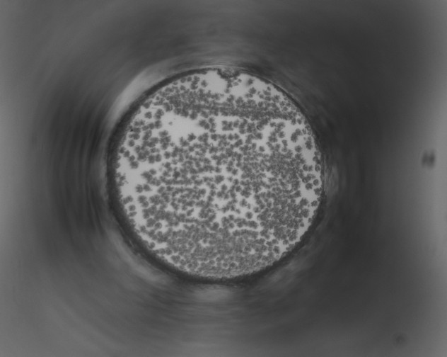 X0000115740198200912241654