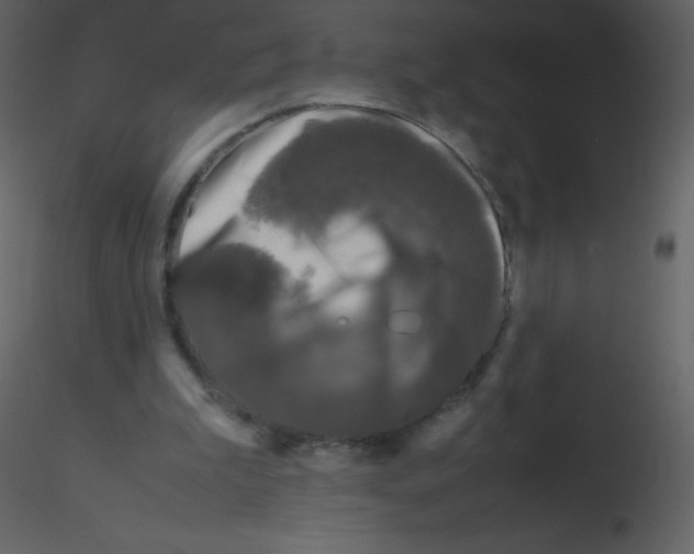 X0000115740199200912241654