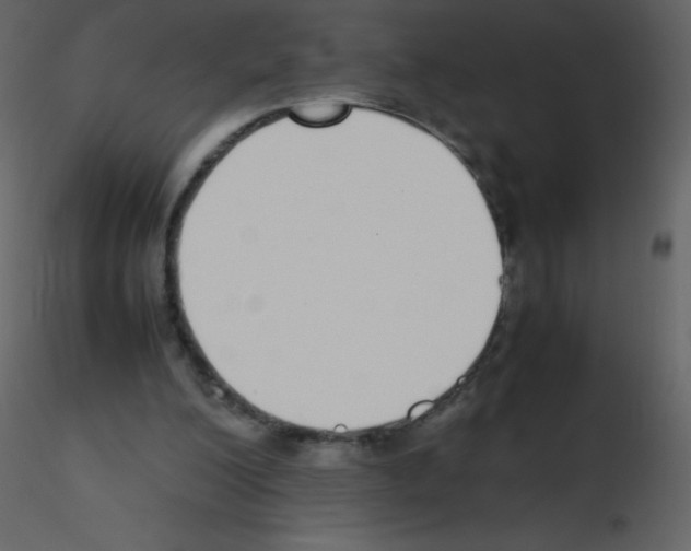 X0000115740200200912241654