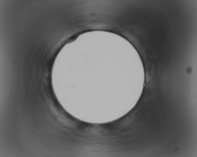 X0000115740201200912241654