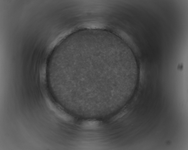 X0000115740202200912241654