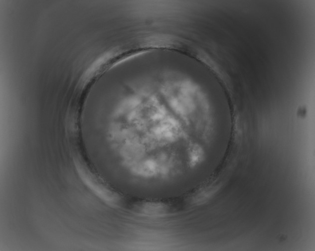 X0000115740203200912241654