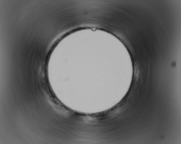 X0000115740204200912241654