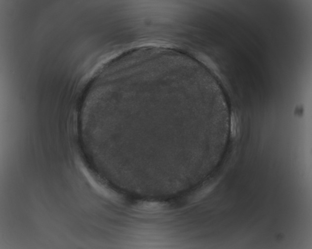 X0000115740205200912241654