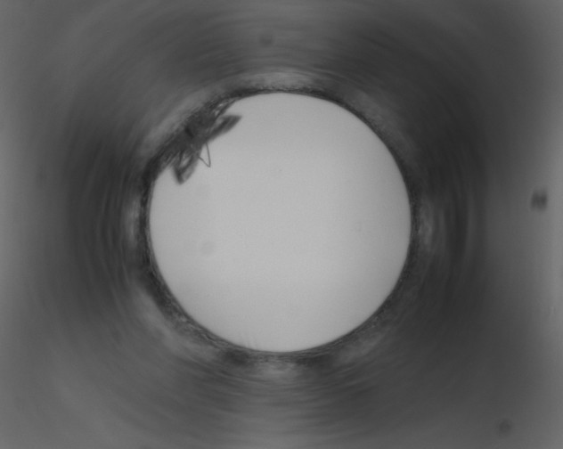 X0000115740206200912241654