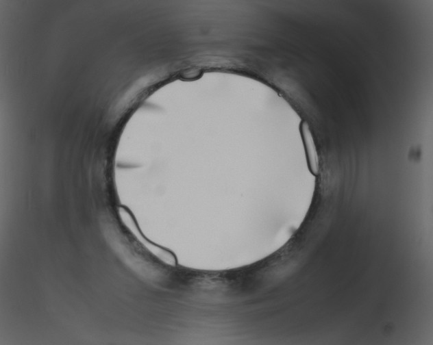 X0000115740207200912241654