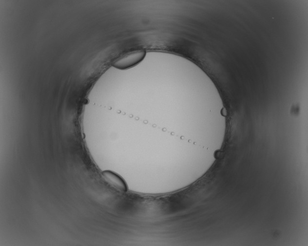 X0000115740209200912241654