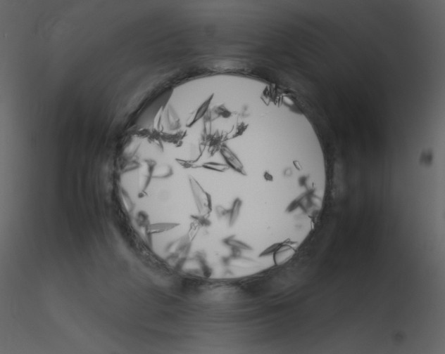 X0000115740210200912241654