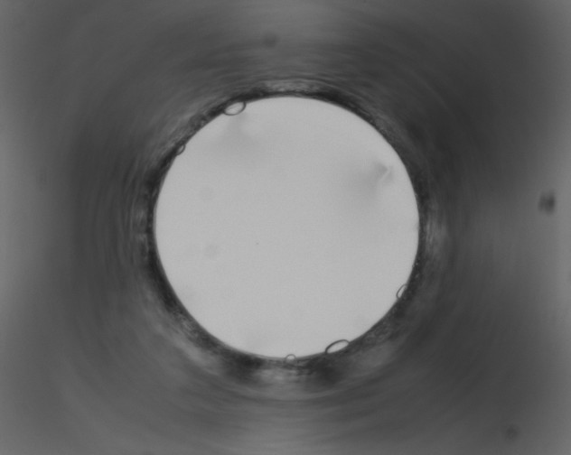 X0000115740211200912241654