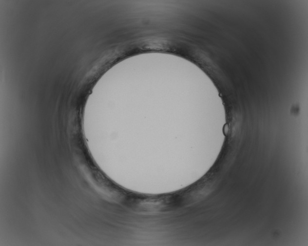 X0000115740213200912241654