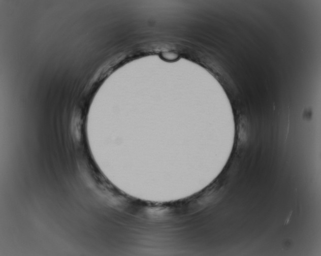 X0000115740216200912241654