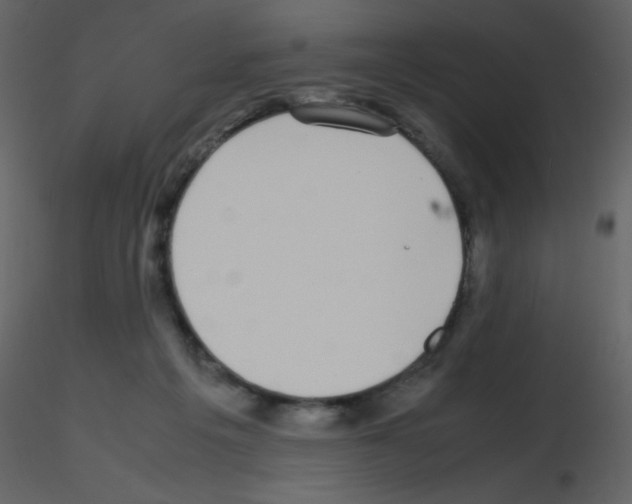 X0000115740217200912241654