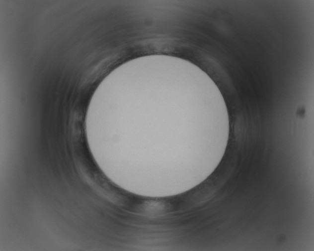 X0000115740218200912241654