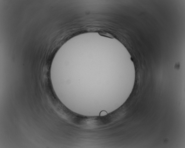 X0000115740219200912241654