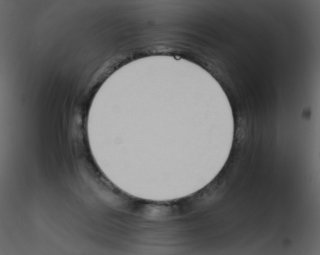 X0000115740220200912241654