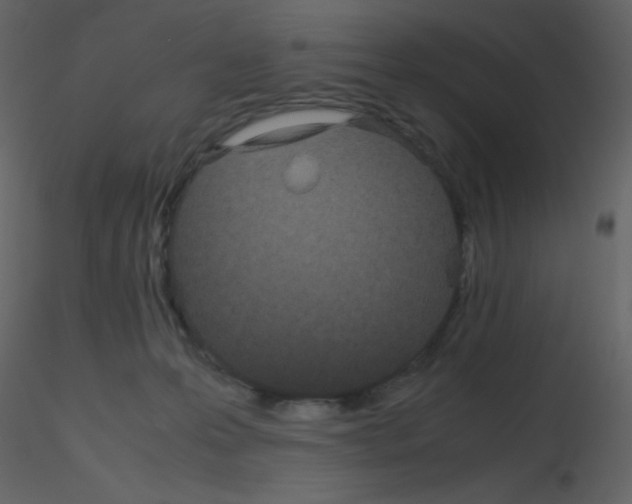 X0000115740223200912241654